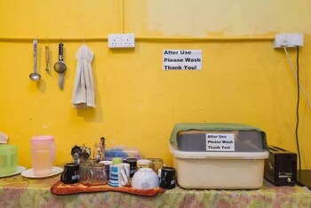 cocoa mews cafe and homestay hostel