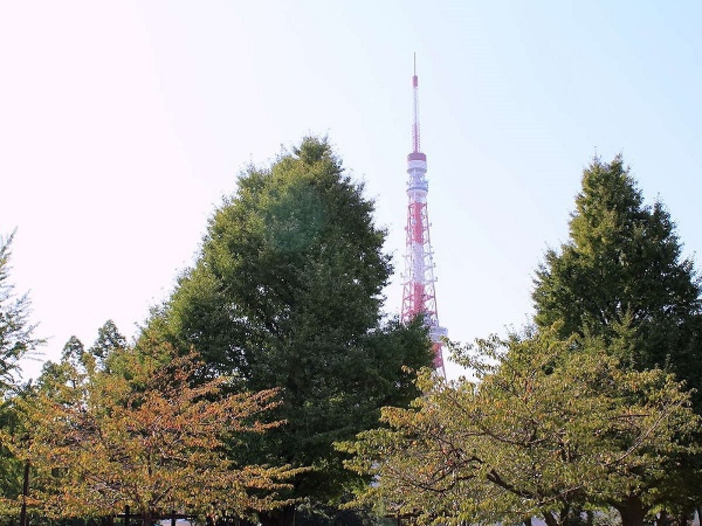 apa hotel shimbashi toranomon