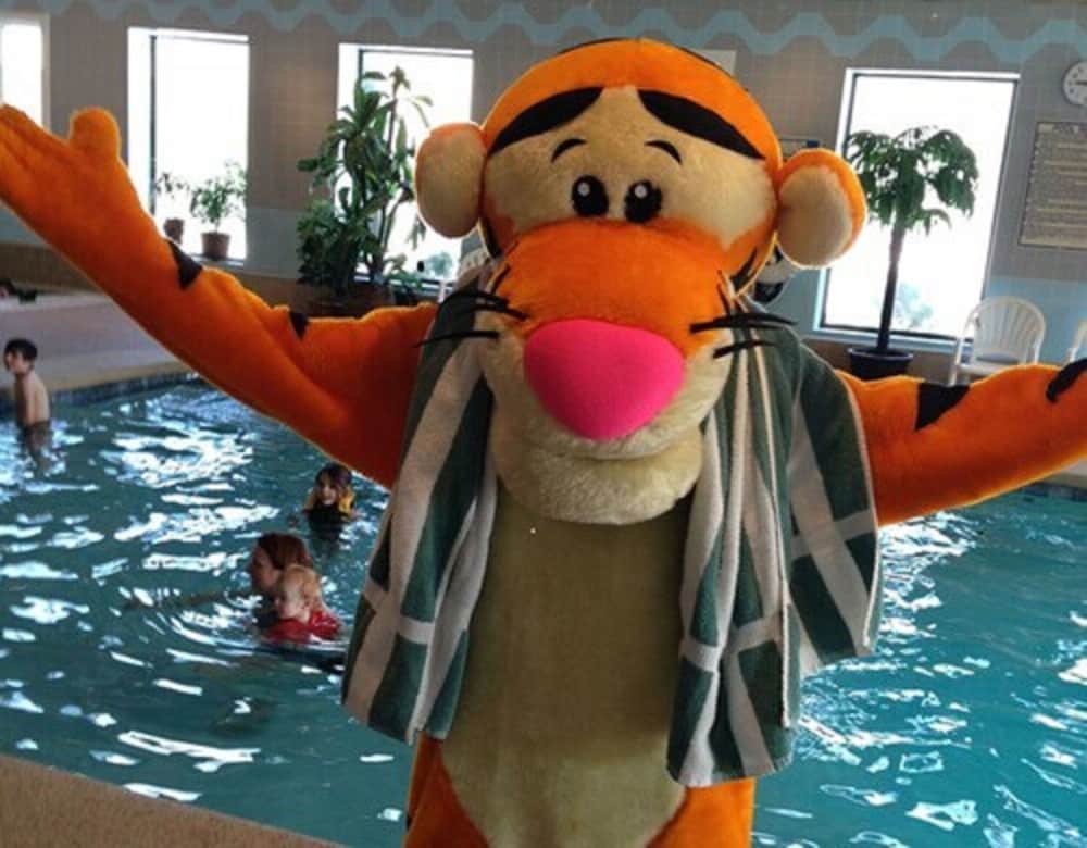 bayside resort hotel