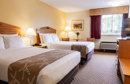 bayside resort hotel