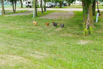 Homestead Motel & Rv,,2 star