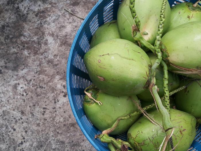 warakorn baansuan amphawa