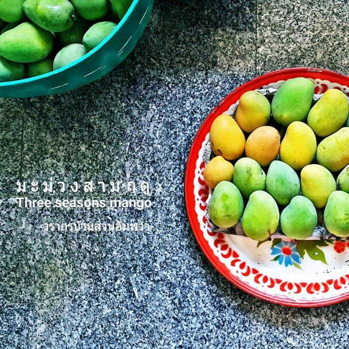 warakorn baansuan amphawa