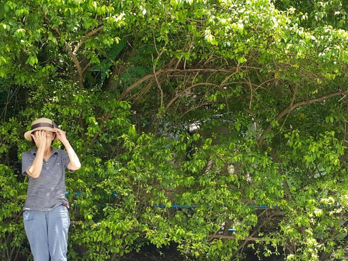 warakorn baansuan amphawa