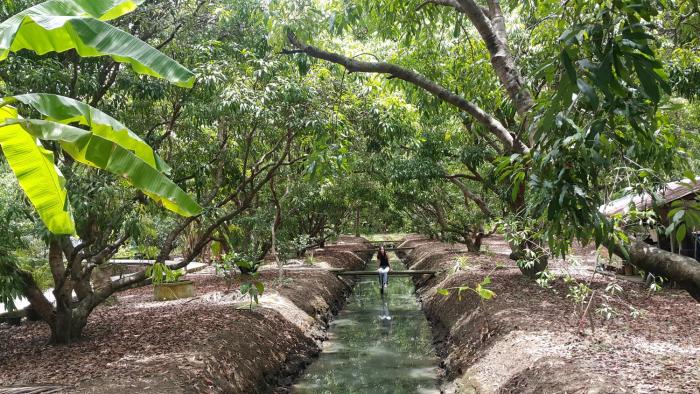 warakorn baansuan amphawa