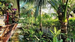 warakorn baansuan amphawa