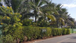 warakorn baansuan amphawa