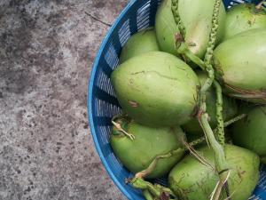 warakorn baansuan amphawa