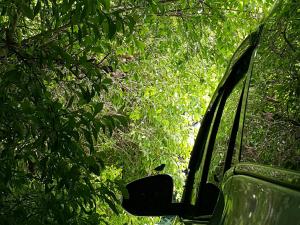 warakorn baansuan amphawa