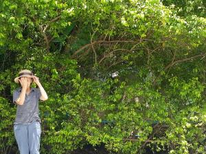 warakorn baansuan amphawa