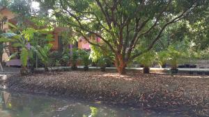 warakorn baansuan amphawa