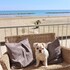 nautic beach hotel