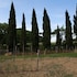 borgo san lorenzo