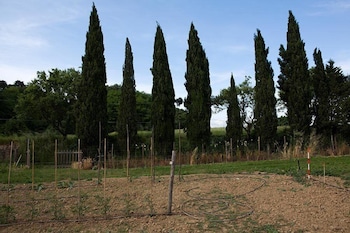 borgo san lorenzo