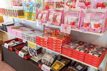 yu furi nasu shiobara