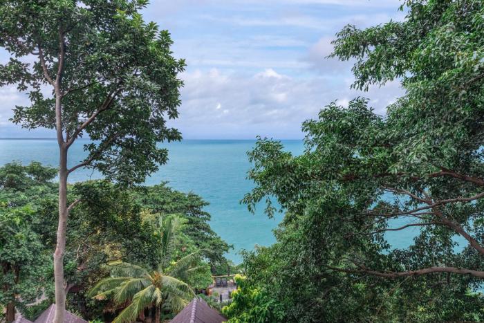 vikasa yoga retreat