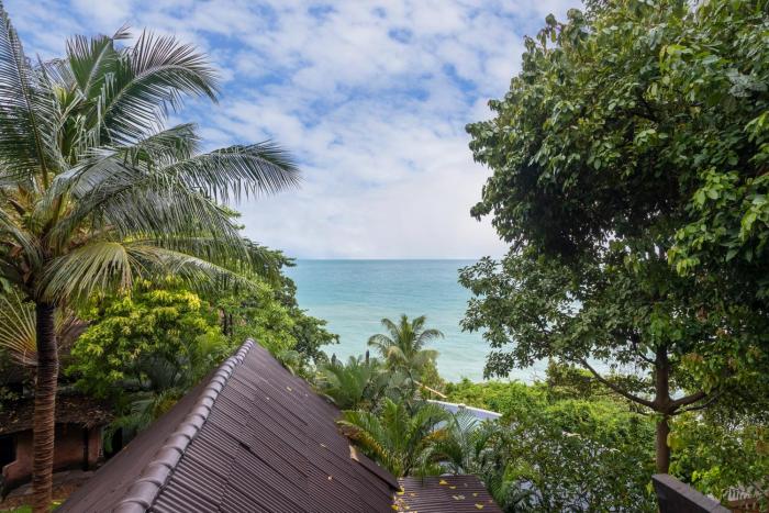vikasa yoga retreat
