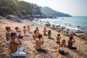 Vikasa Yoga Retreat,Vidya Nagar,4 star