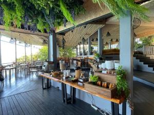 vikasa yoga retreat