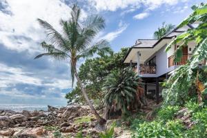 vikasa yoga retreat