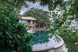 vikasa yoga retreat