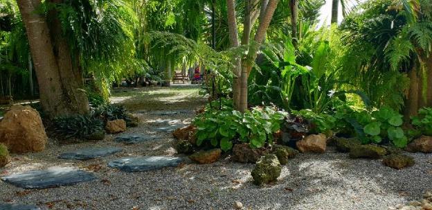 amara resort hua hin