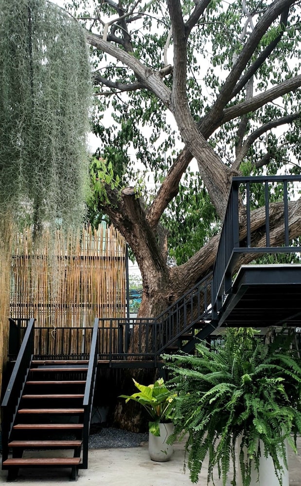 amara resort hua hin