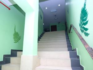 the fern lodge