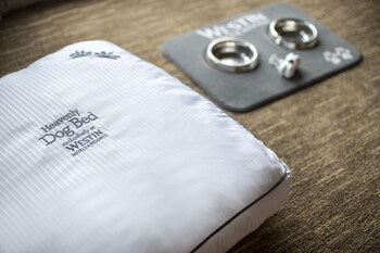 the westin doha hotel and spa