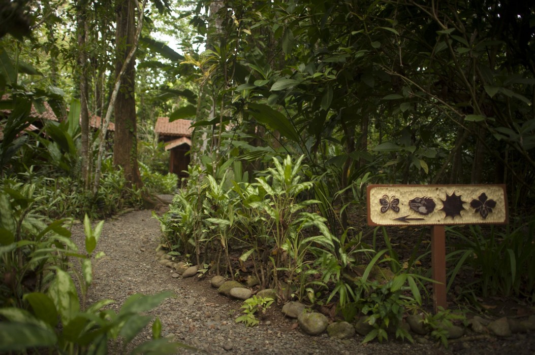 cahuita