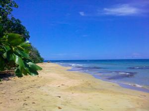 cahuita