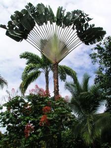 tierra de suenos lodge and wellness center