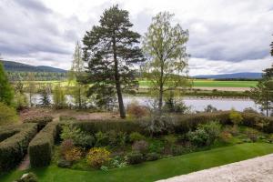 Lys-Na-Greyne (Adults Only),Aberdeenshire>>Aberdeen,5 star