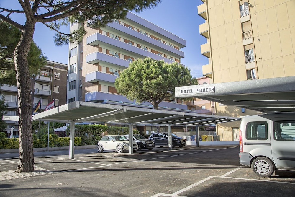 bellaria igea marina