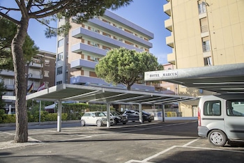 bellaria igea marina