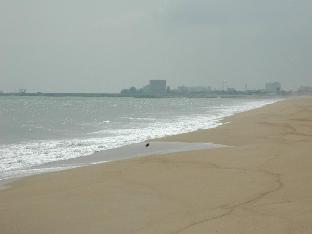 anjung pantai seberang