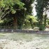 pangkor waterfall beach resort
