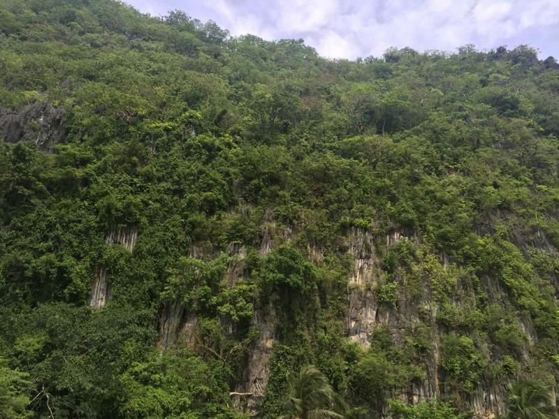 el nido viewdeck cottages