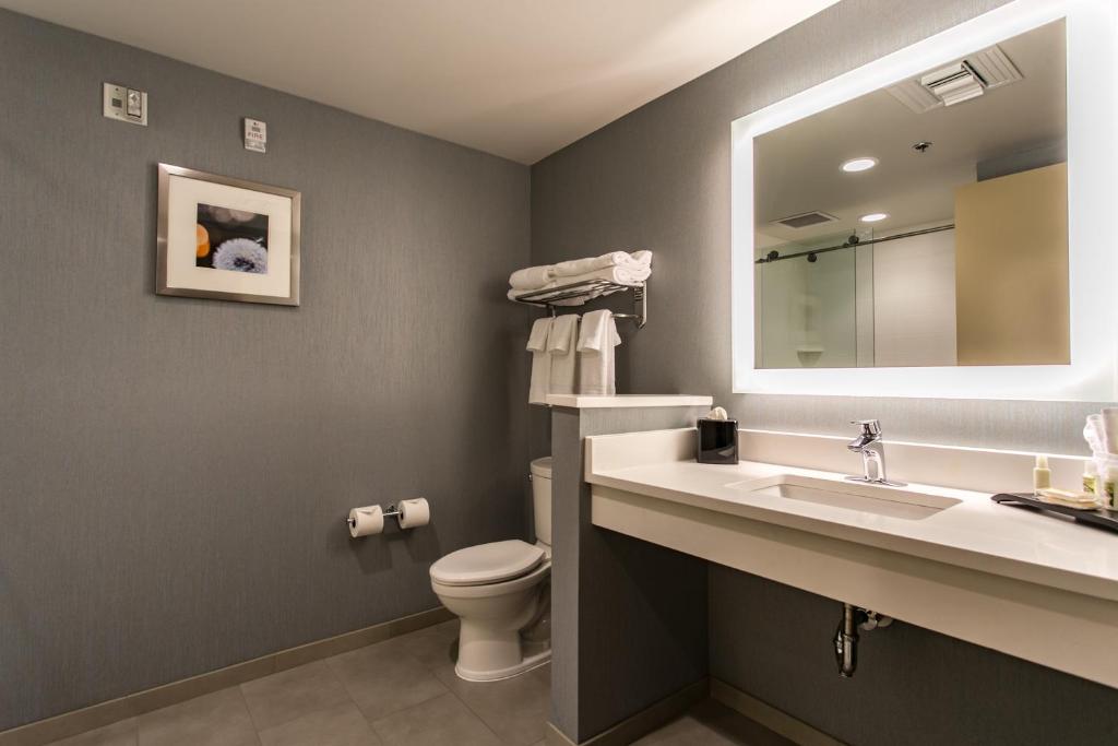 holiday inn hotel and suites chattanooga downtown by ihg