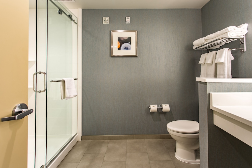holiday inn hotel and suites chattanooga downtown by ihg