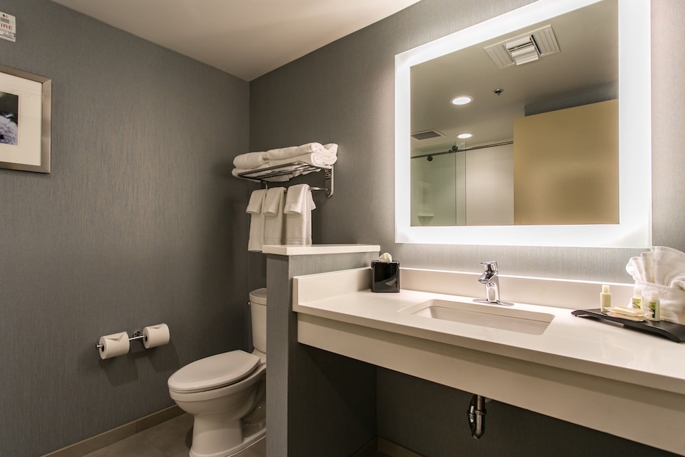 holiday inn hotel and suites chattanooga downtown by ihg