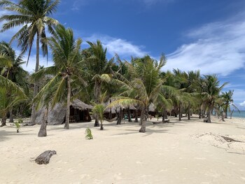 roxas