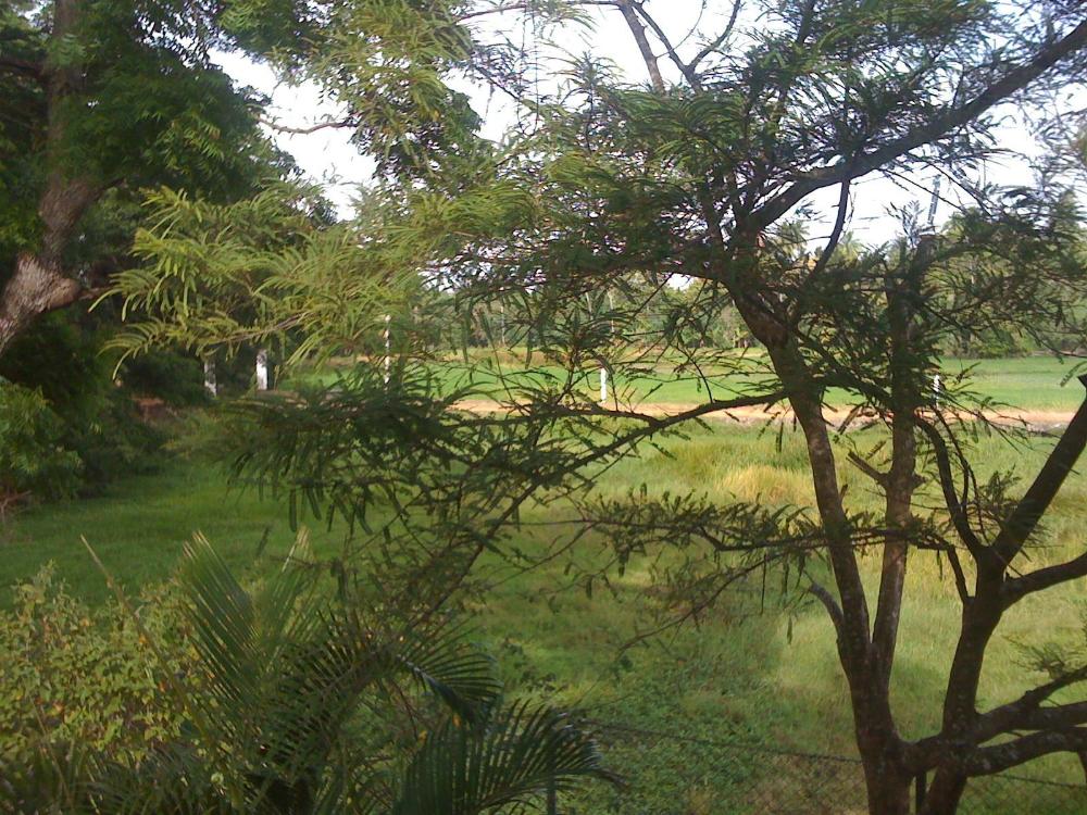 nilketha villa eco hotel