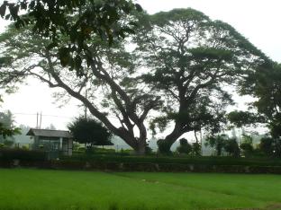 nilketha villa eco hotel