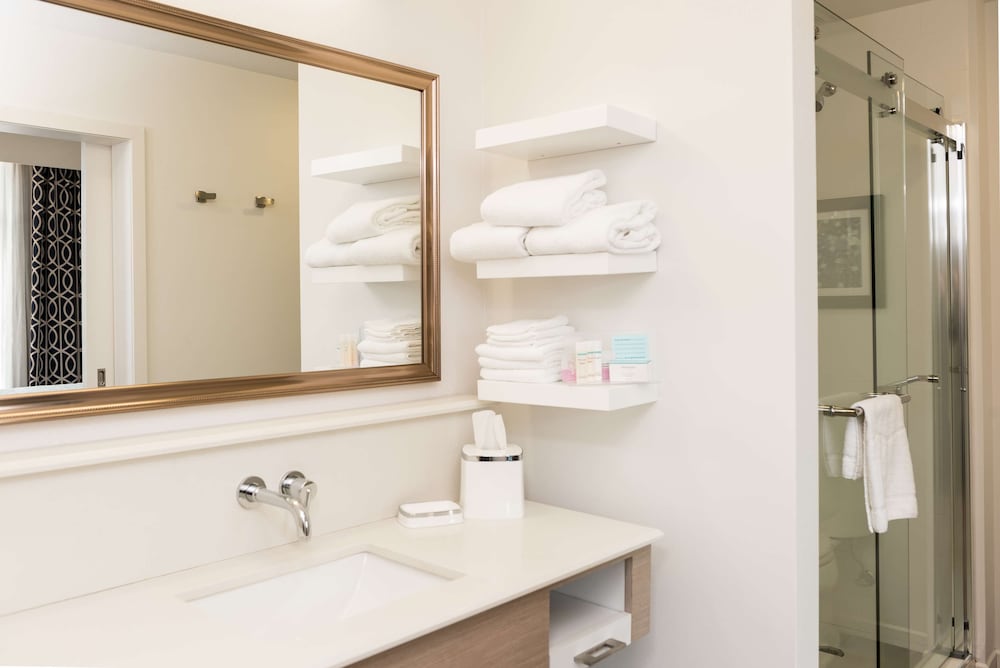 hampton inn and suites la crosse downtown