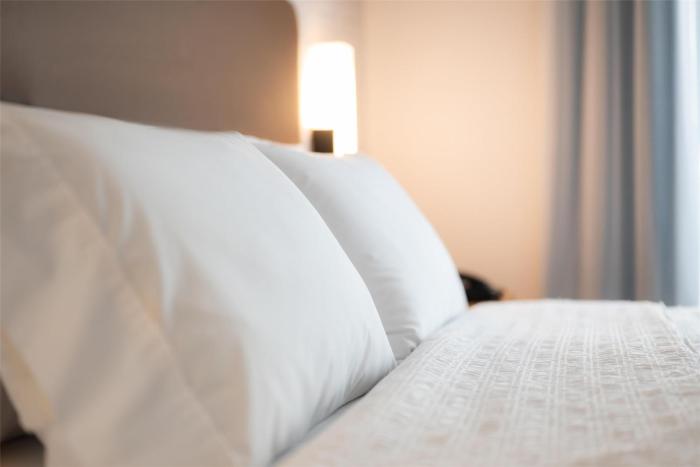 hampton inn and suites la crosse downtown
