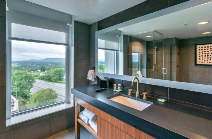 doubletree by hilton asheville downtown