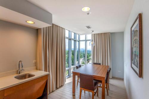 doubletree by hilton asheville downtown