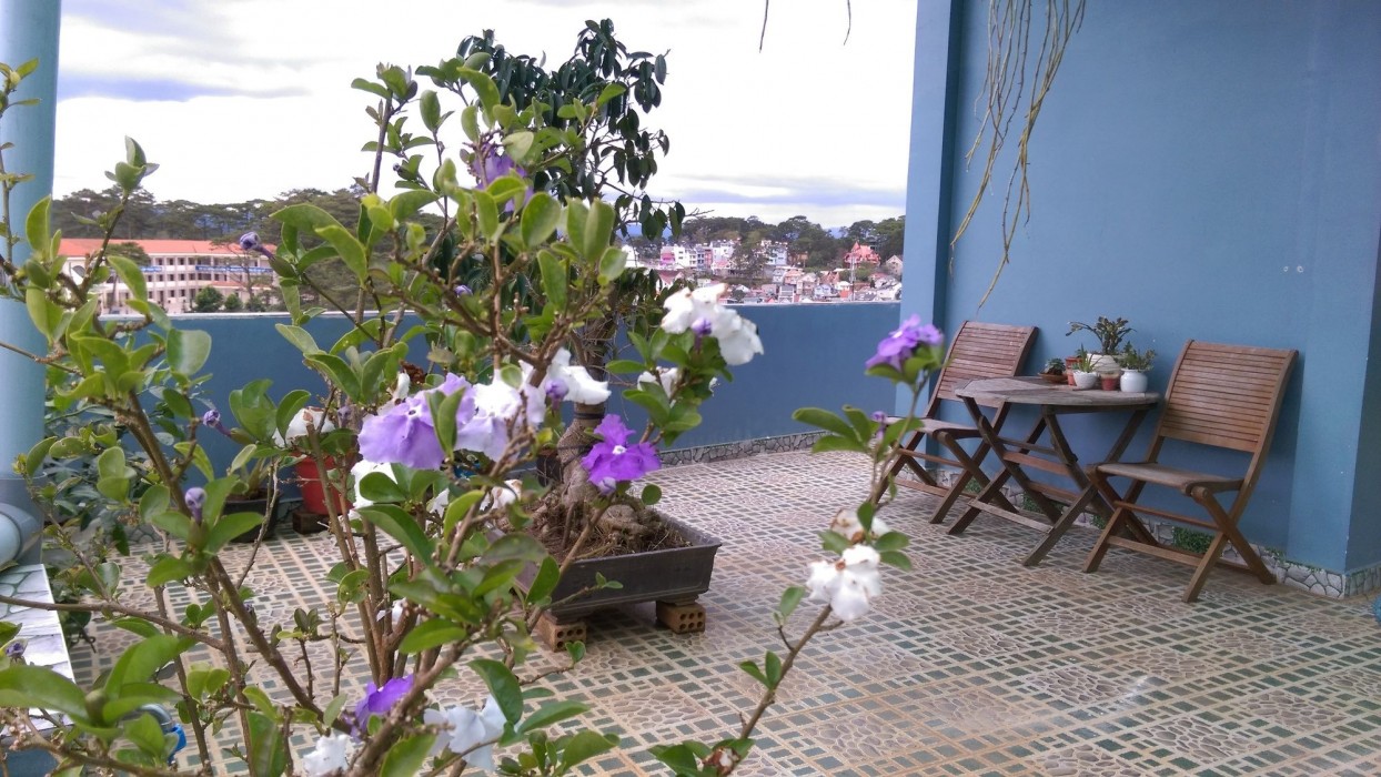 hai long vuong hotel