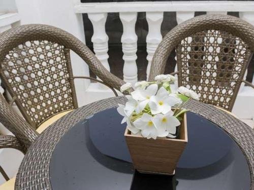 le manglier guest house